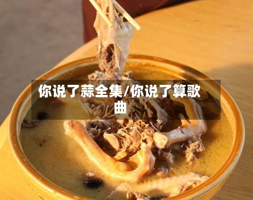 你说了蒜全集/你说了算歌曲-第1张图片