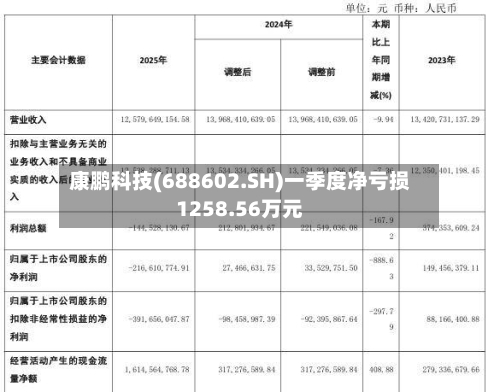 康鹏科技(688602.SH)一季度净亏损1258.56万元-第1张图片