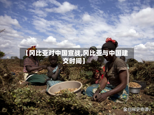 【冈比亚对中国宣战,冈比亚与中国建交时间】-第1张图片