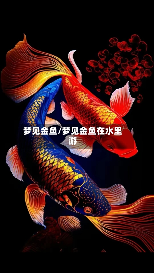 梦见金鱼/梦见金鱼在水里游-第2张图片