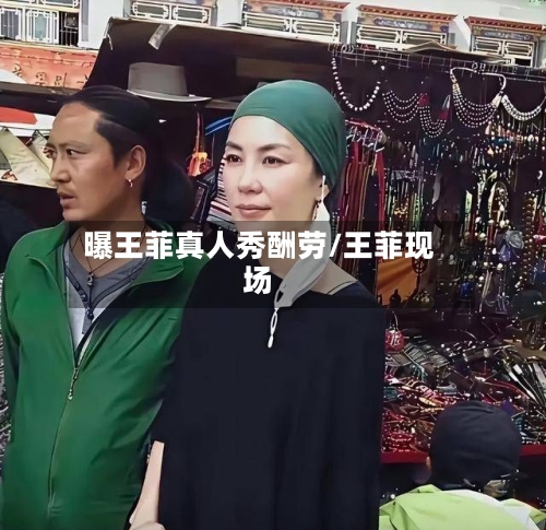 曝王菲真人秀酬劳/王菲现场-第1张图片