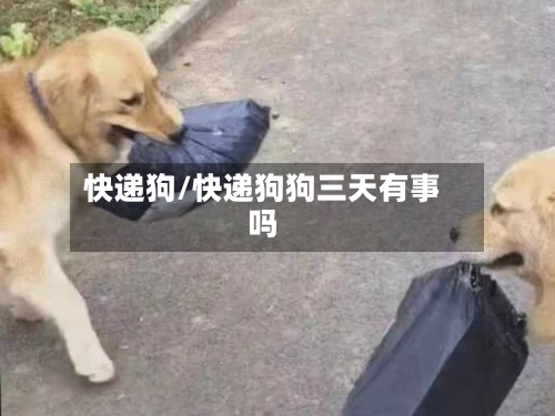 快递狗/快递狗狗三天有事吗-第3张图片