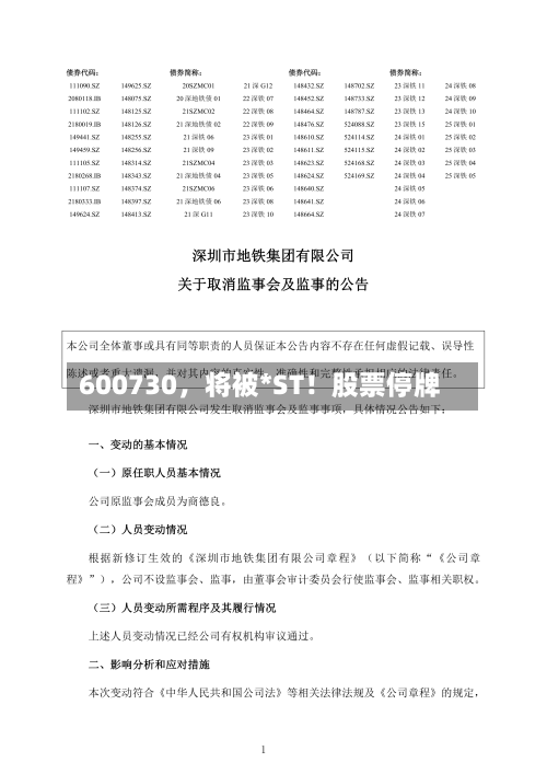 600730，将被*ST！股票停牌-第3张图片