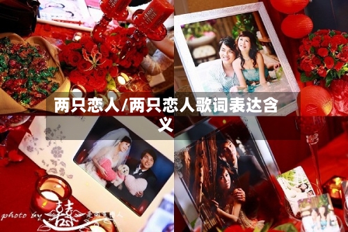 两只恋人/两只恋人歌词表达含义-第1张图片