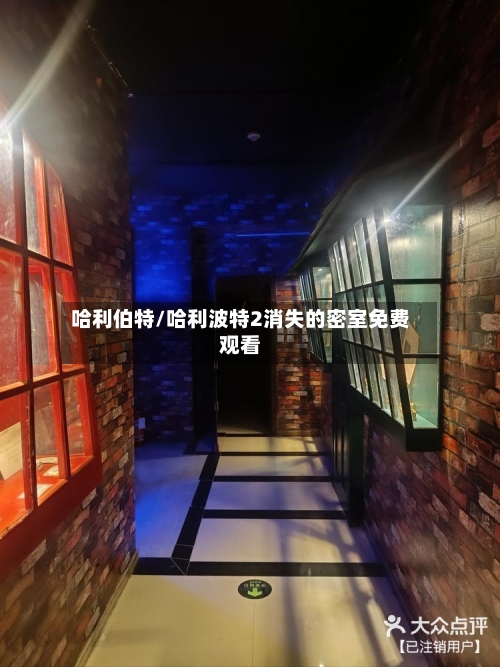 哈利伯特/哈利波特2消失的密室免费观看-第2张图片