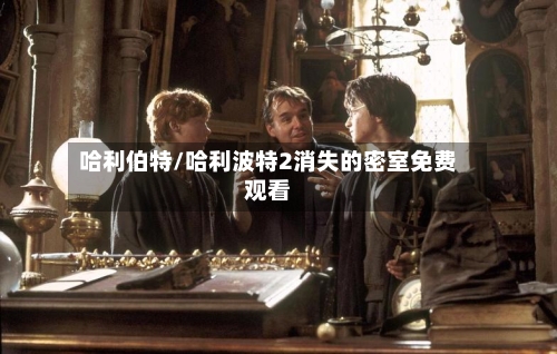 哈利伯特/哈利波特2消失的密室免费观看-第3张图片