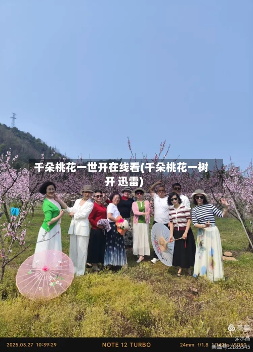 千朵桃花一世开在线看(千朵桃花一树开 迅雷)-第2张图片