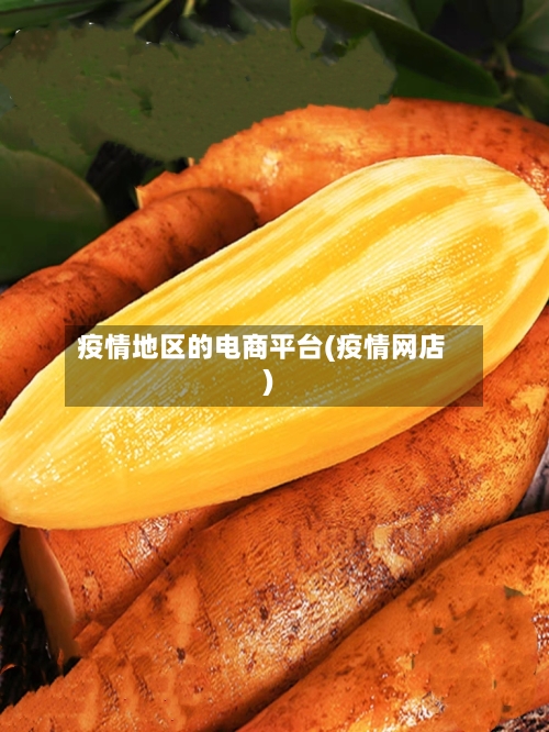 疫情地区的电商平台(疫情网店)-第3张图片