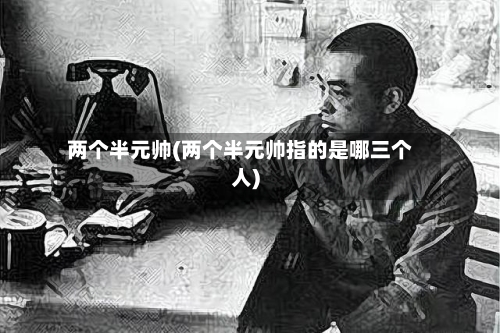 两个半元帅(两个半元帅指的是哪三个人)-第1张图片