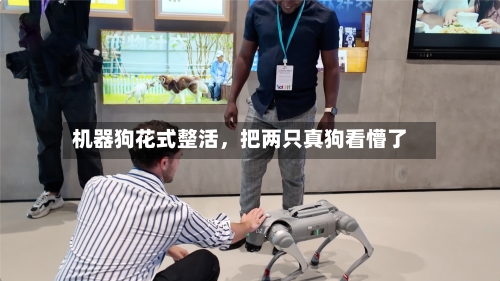 机器狗花式整活，把两只真狗看懵了-第1张图片