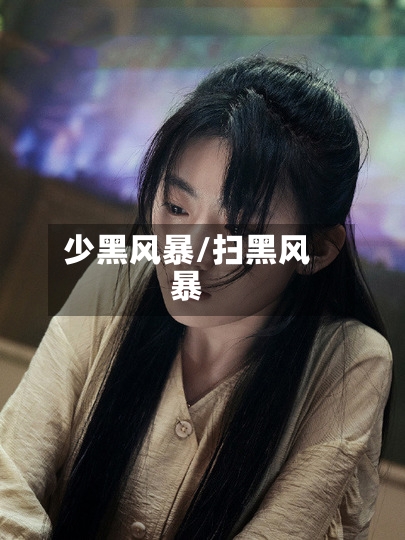 少黑风暴/扫黑风暴-第2张图片
