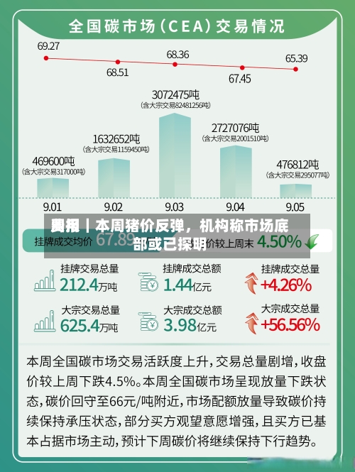 费用周报｜本周猪价反弹，机构称市场底部或已探明-第1张图片