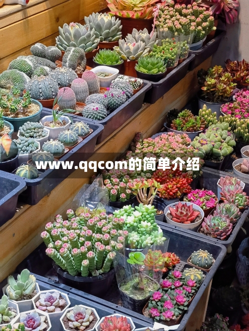 www.qqcom的简单介绍-第2张图片