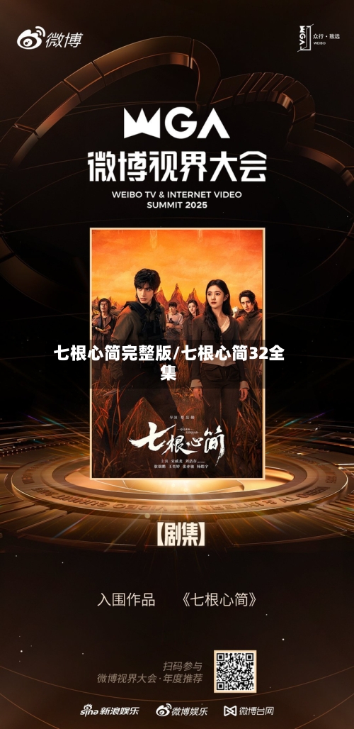 七根心简完整版/七根心简32全集-第3张图片