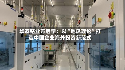 华友钴业方启学：以“地瓜理论”打造中国企业海外投资新范式-第2张图片
