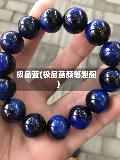 极品蓝(极品蓝颜笔趣阁)-第2张图片