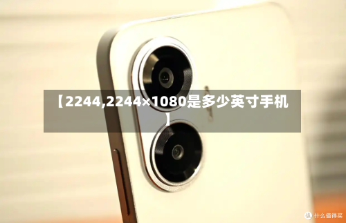 【2244,2244×1080是多少英寸手机】-第2张图片