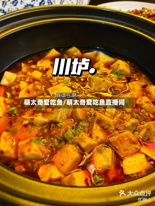 萌太奇爱吃鱼/萌太奇爱吃鱼直播间-第3张图片