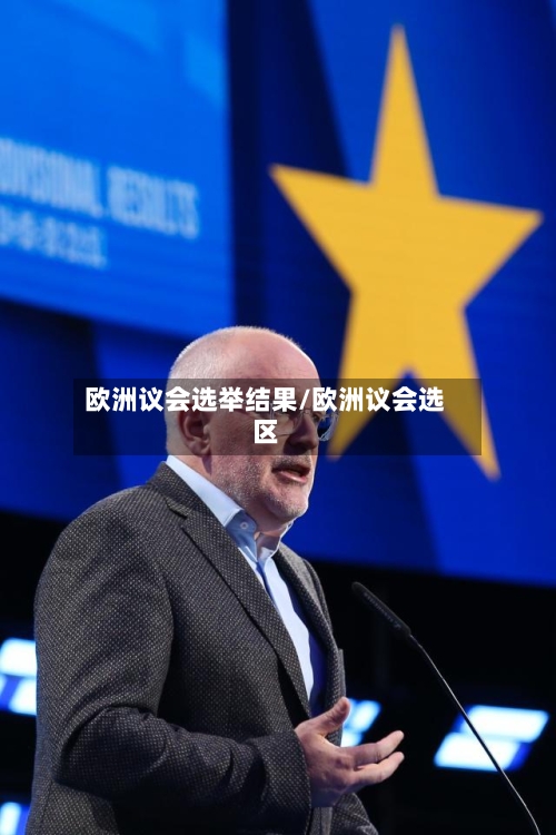 欧洲议会选举结果/欧洲议会选区-第1张图片