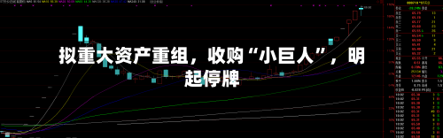 拟重大资产重组，收购“小巨人”，明起停牌-第2张图片