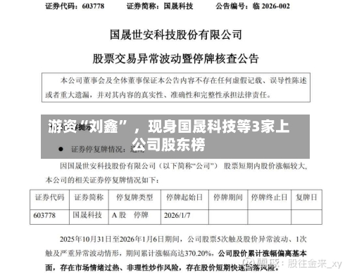 游资“刘鑫” ，现身国晟科技等3家上公司股东榜-第3张图片
