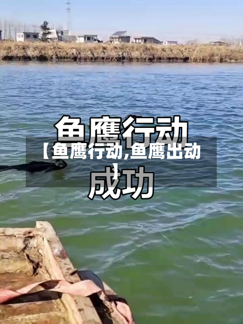 【鱼鹰行动,鱼鹰出动】-第1张图片