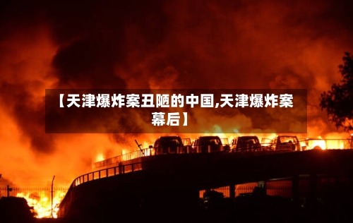 【天津爆炸案丑陋的中国,天津爆炸案幕后】-第2张图片