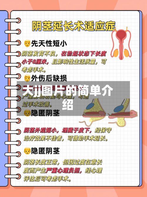 大jj图片的简单介绍-第1张图片