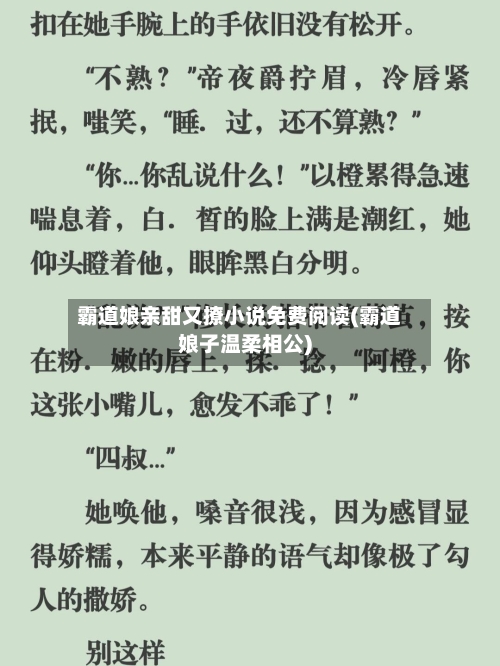 霸道娘亲甜又撩小说免费阅读(霸道娘子温柔相公)-第2张图片