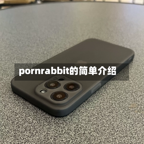 pornrabbit的简单介绍-第1张图片