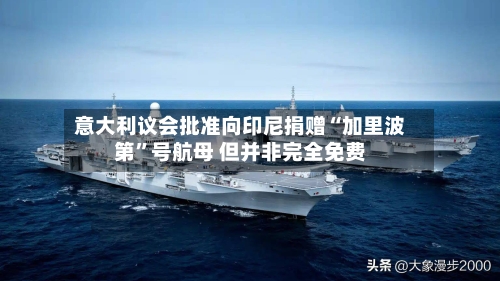 意大利议会批准向印尼捐赠“加里波第	”号航母 但并非完全免费-第2张图片