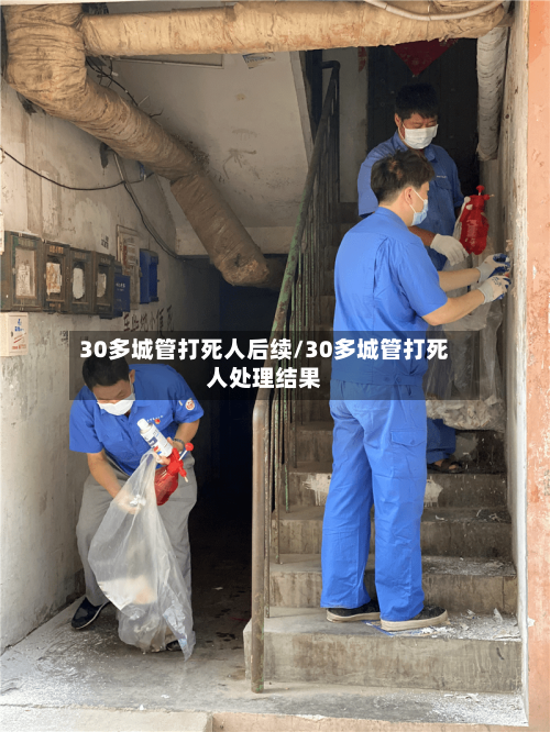 30多城管打死人后续/30多城管打死人处理结果-第1张图片