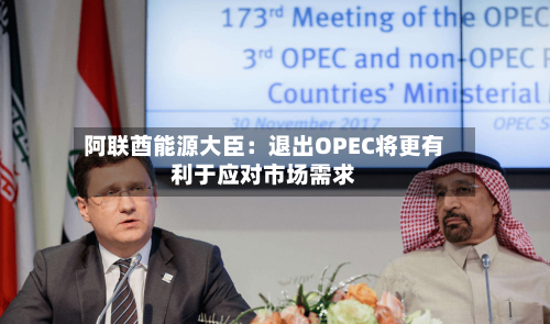 阿联酋能源大臣：退出OPEC将更有利于应对市场需求-第2张图片