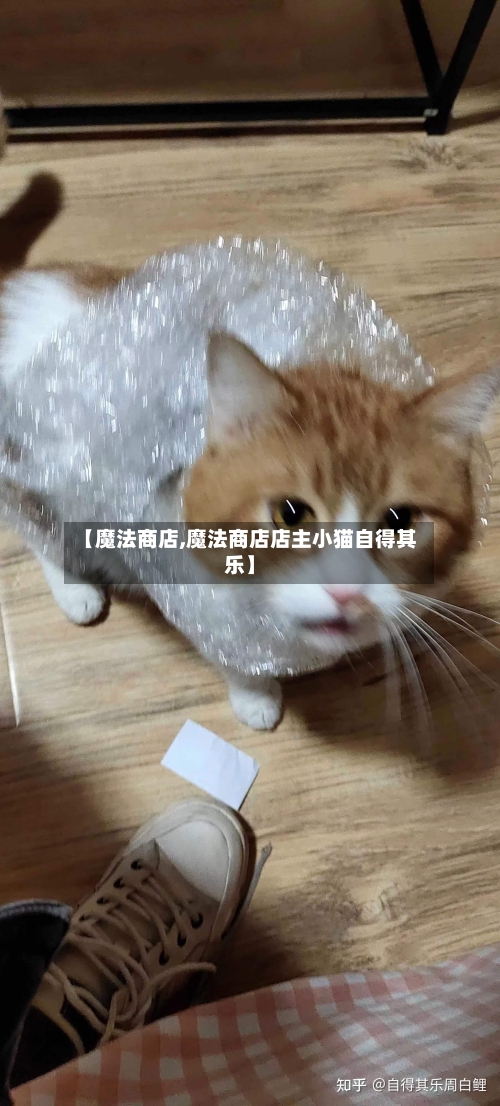 【魔法商店,魔法商店店主小猫自得其乐】-第1张图片