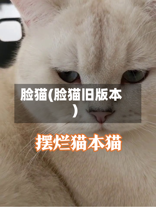 脸猫(脸猫旧版本)-第1张图片