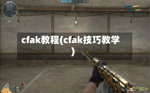 cfak教程(cfak技巧教学)-第1张图片