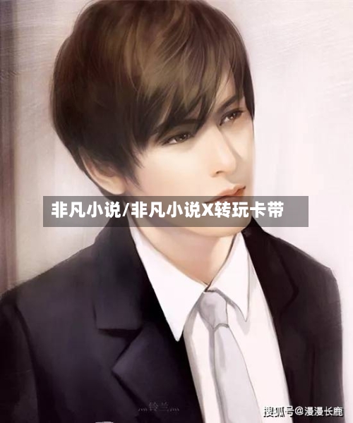 非凡小说/非凡小说X转玩卡带-第1张图片