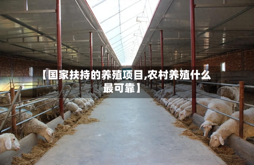 【国家扶持的养殖项目,农村养殖什么最可靠】-第1张图片
