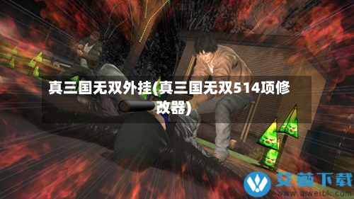 真三国无双外挂(真三国无双514项修改器)-第1张图片