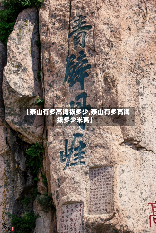 【泰山有多高海拔多少,泰山有多高海拔多少米高】-第2张图片