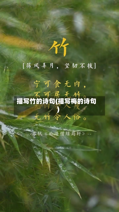 描写竹的诗句(描写梅的诗句)-第1张图片