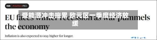 受能源冲击拖累 欧元区一季度经济放缓-第2张图片