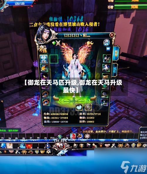 【御龙在天马匹升级,御龙在天马升级最快】-第1张图片