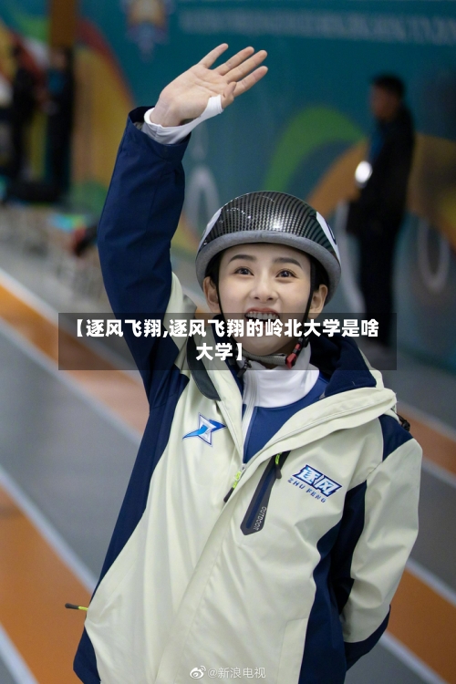 【逐风飞翔,逐风飞翔的岭北大学是啥大学】-第1张图片