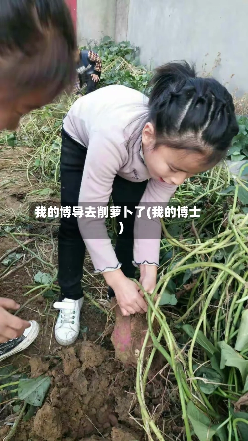 我的博导去削萝卜了(我的博士)-第1张图片