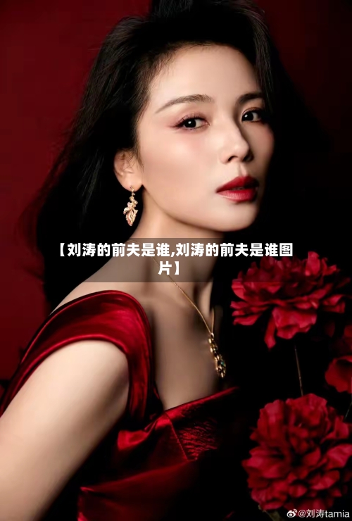 【刘涛的前夫是谁,刘涛的前夫是谁图片】-第1张图片