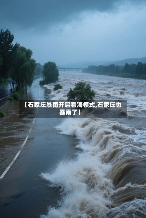【石家庄暴雨开启看海模式,石家庄也暴雨了】-第2张图片