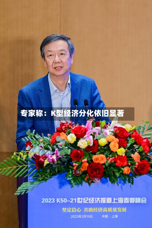 专家称：K型经济分化依旧显著-第1张图片