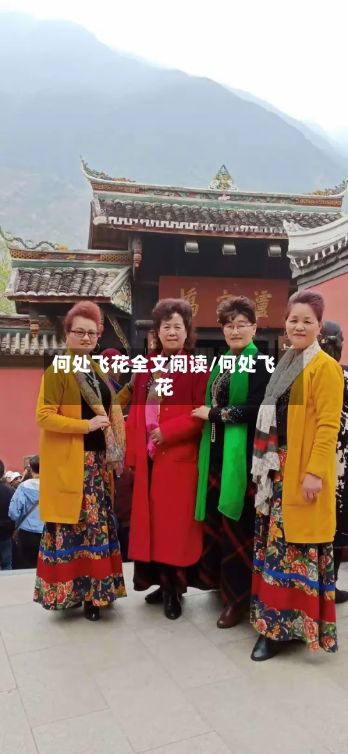 何处飞花全文阅读/何处飞花-第3张图片