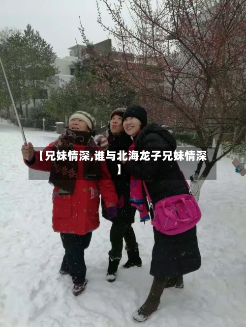 【兄妹情深,谁与北海龙子兄妹情深】-第1张图片